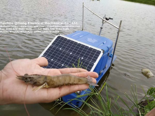 Solar automatic shrimp feeder(Moving type) - Image 2